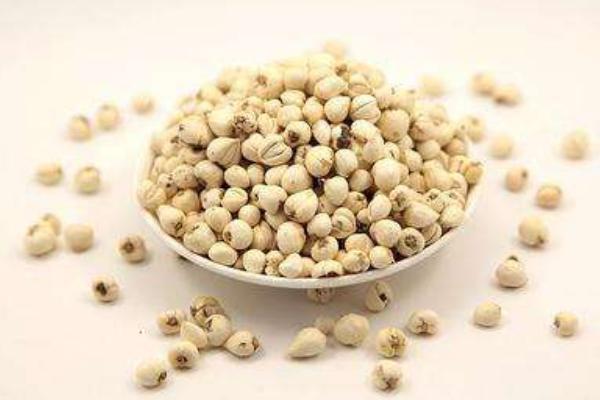 川貝的功效與作用及禁忌 川貝的藥用價值