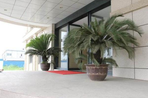 鐵樹怎么養(yǎng) 鐵樹一年發(fā)幾次新葉