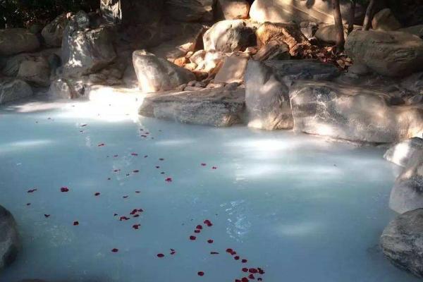 泡牛奶浴的正確方法 牛奶浴用什么牛奶