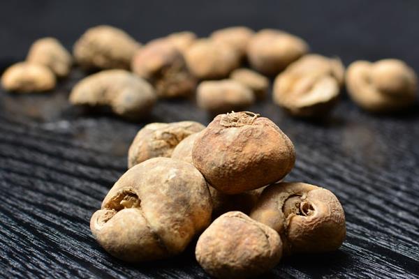 大貝母的功效與作用及禁忌 大貝母的別名叫什么