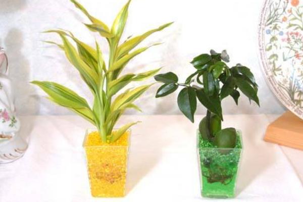 水晶泥加什么成假水 水晶泥太稀怎么辦