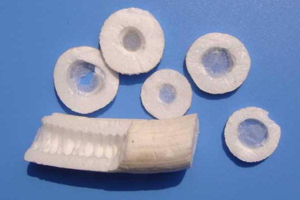 通草是什么 通草下奶嗎