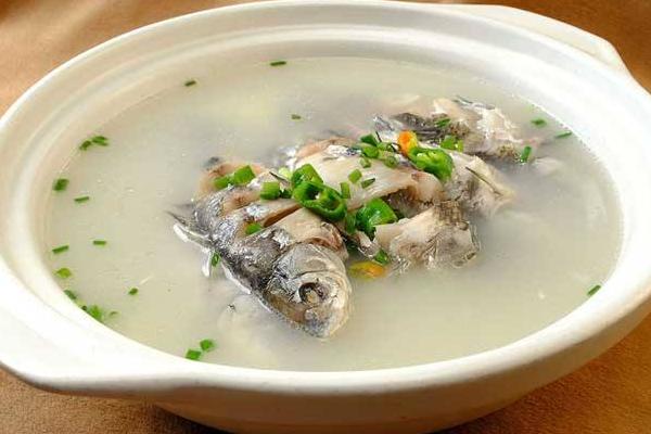 通草是什么 通草下奶嗎