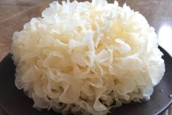 銀耳可以炒來吃嗎 銀耳干的好還是鮮的好