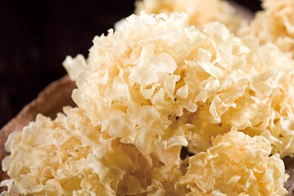 銀耳可以炒來吃嗎 銀耳干的好還是鮮的好