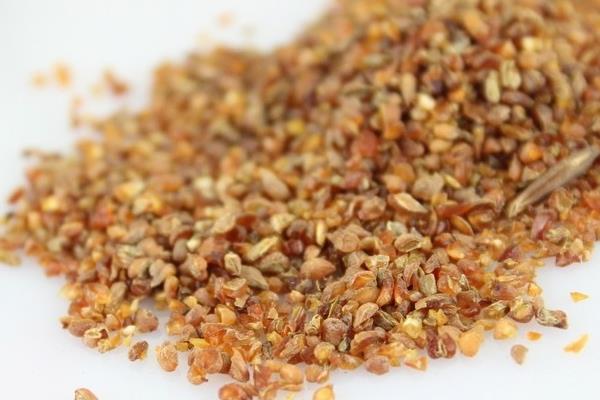 金蕎麥的功效與作用 金蕎麥片效果怎么樣