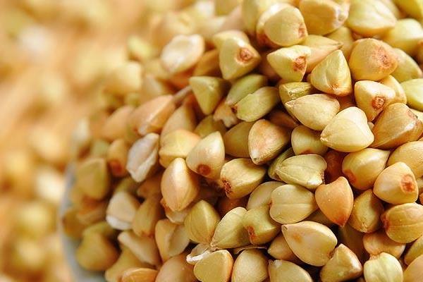 金蕎麥的功效與作用 金蕎麥片效果怎么樣