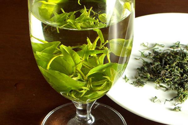 苦丁茶的功效與作用及禁忌 孕婦能喝苦丁茶嗎