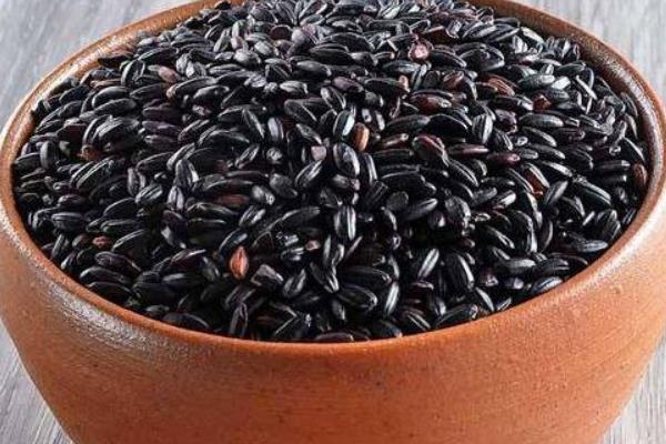 黑米的功效與作用及禁忌 黑米的營養(yǎng)價值