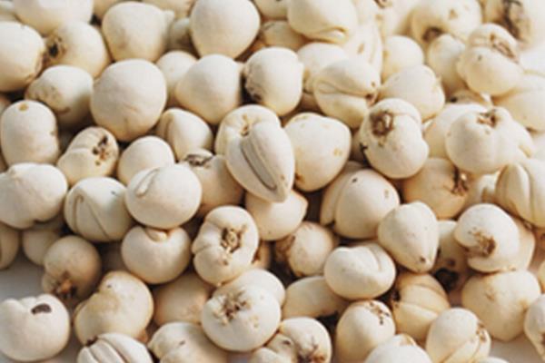 貝母是什么 貝母怎么吃