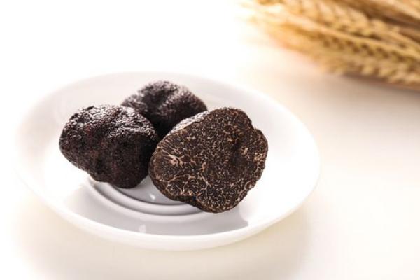 松露的功效與作用及禁忌 如何選購(gòu)松露