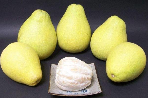 沙田柚與蜜柚的區別是什么 懷孕可以吃沙田柚嗎