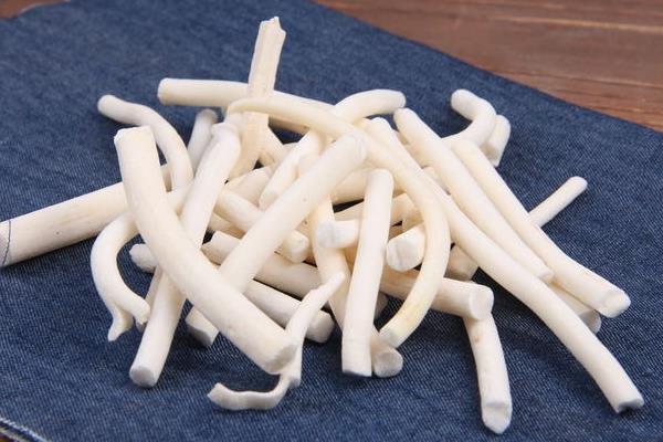 通草煮什么下奶 通草是下奶還是通奶