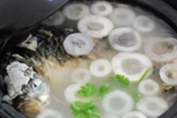 通草市場價格多少錢一克 通草下奶有副作用嗎