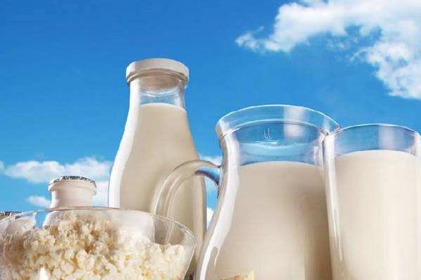 喝一個月羊奶的變化是什么 羊奶和牛奶能交替喝嗎