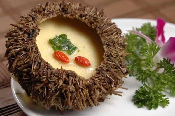 海膽蒸蛋營養(yǎng)價值 海膽蒸蛋的做法