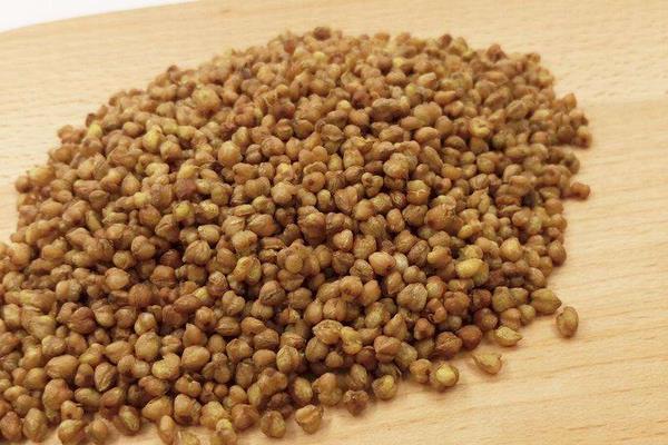 苦蕎麥怎么吃最好 苦蕎麥可以熬粥嗎