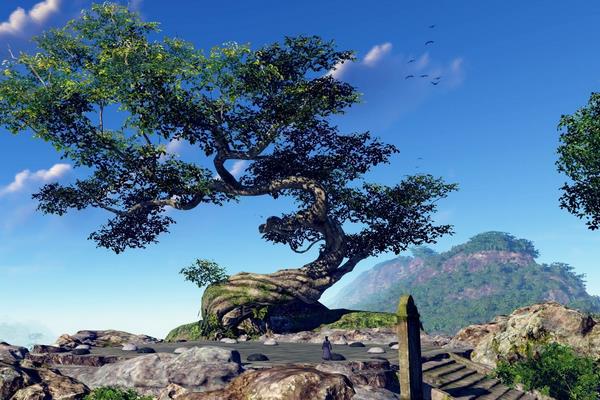 家門前栽松樹能旺宅嗎 梅花竹子松樹打一成語