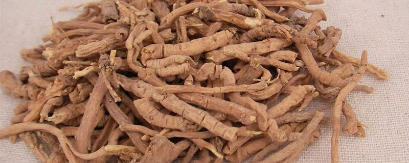 遠志的炮制方法