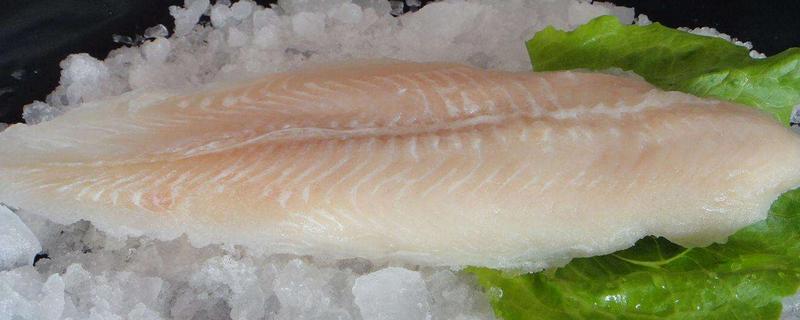 巴沙魚和龍利魚的區(qū)別是什么 巴沙魚和龍利魚哪個(gè)好