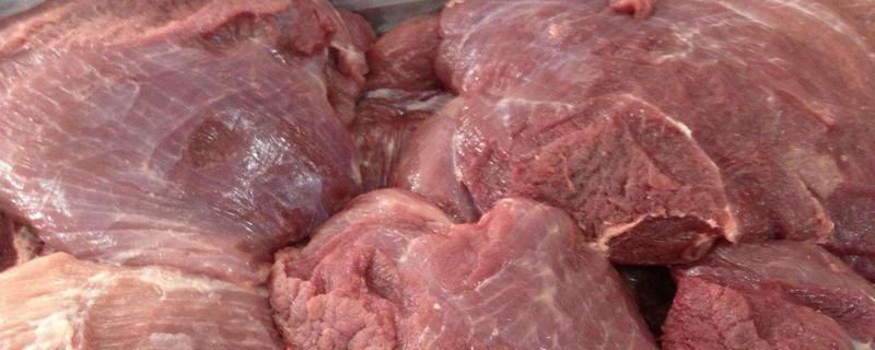 母豬肉能吃嗎（為什么） 貓能吃豬肉嗎