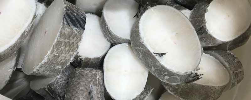 銀鱈魚的哪一段最好 孕婦可以吃銀鱈魚嗎