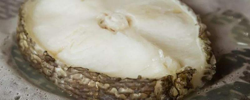 銀鱈魚和鱈魚的區(qū)別是什么 銀鱈魚是海魚嗎