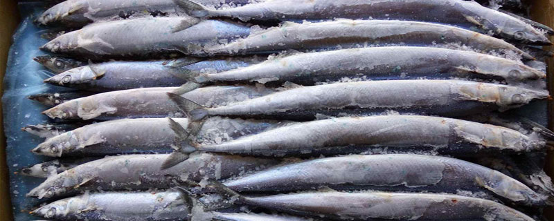 沙丁魚和秋刀魚的區(qū)別是什么 沙丁魚的簡(jiǎn)介