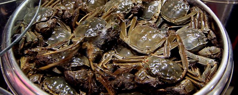 活螃蟹可以冷凍嗎 冷凍的螃蟹能吃嗎