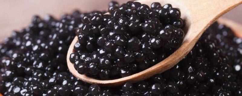 黑魚的籽能吃嗎 黑魚籽怎么吃 黑魚籽的功效與作用