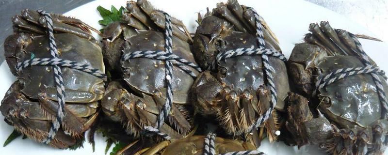 陽澄湖大閘蟹什么季節吃最好 陽澄湖大閘蟹怎么煮