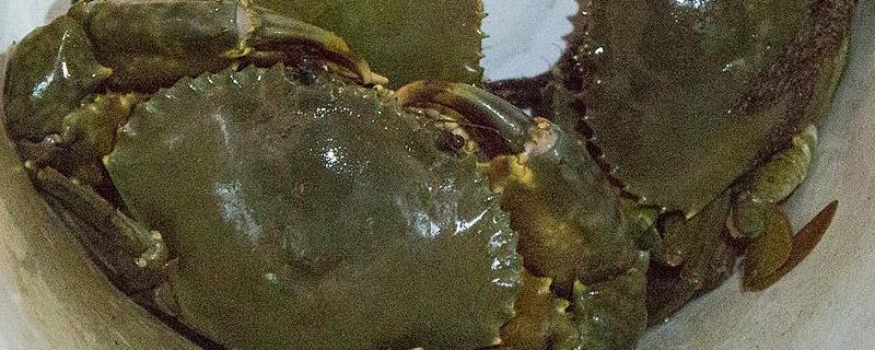 青蟹是淡水蟹還是海水蟹 青蟹是海鮮嗎