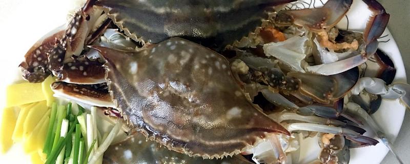 梭子蟹什么季節(jié)吃最好 梭子蟹什么時候上市