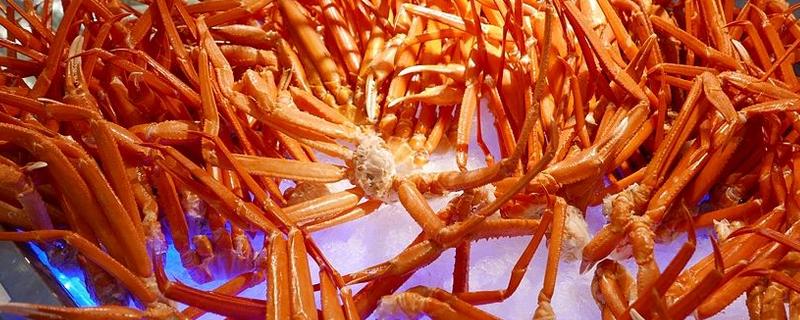 長腳蟹和帝王蟹的區別是什么 吃帝王蟹的好處