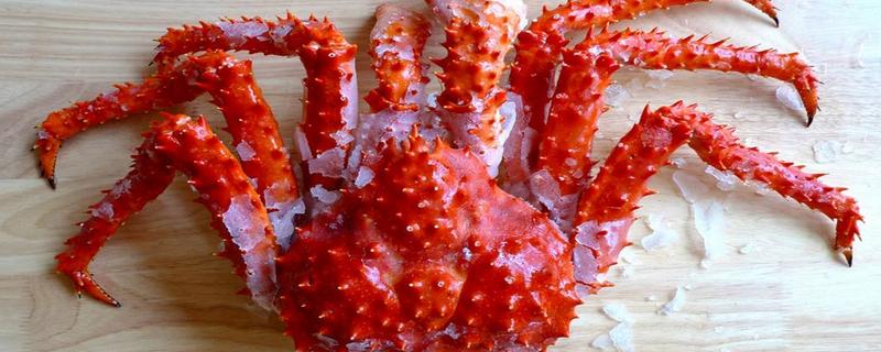 最大的帝王蟹有多大 帝王蟹怎么處理干凈