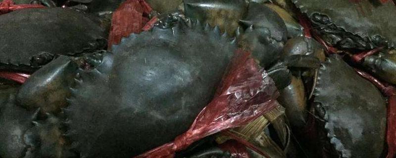 緬甸蟹和青蟹的區別是什么 吃青蟹的好處