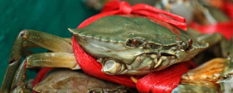 青蟹怎么殺 青蟹死了還能吃嗎