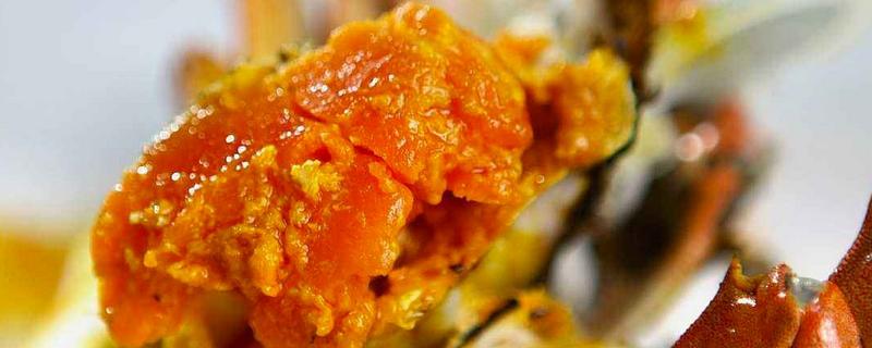 蟹黃是什么東西 公螃蟹有蟹黃嗎 螃蟹怎么分辨屎和蟹黃