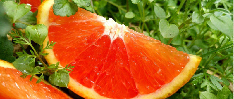 紅肉臍橙和血橙區別