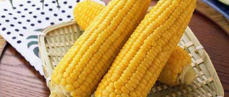菠蘿玉米品種及介紹
