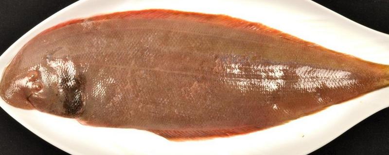 龍利魚有刺嗎 整條的龍利魚怎樣去骨