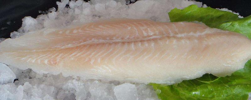 龍利魚煮多久會熟 龍利魚是發物嗎