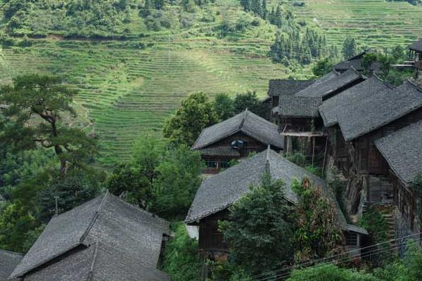 農村干什么能致富