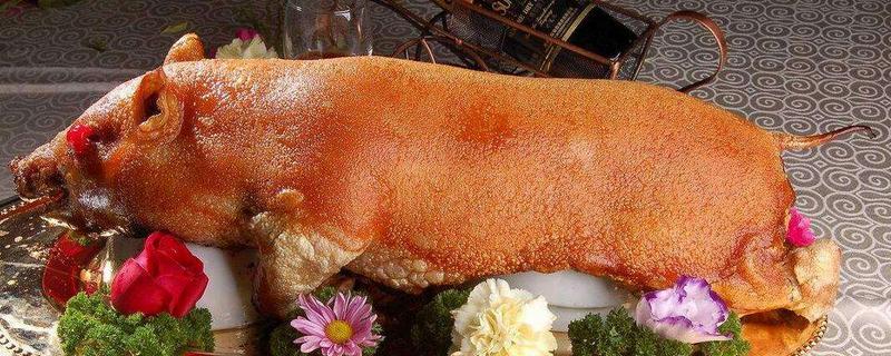 乳豬是什么豬 乳豬市場價格多少錢一斤