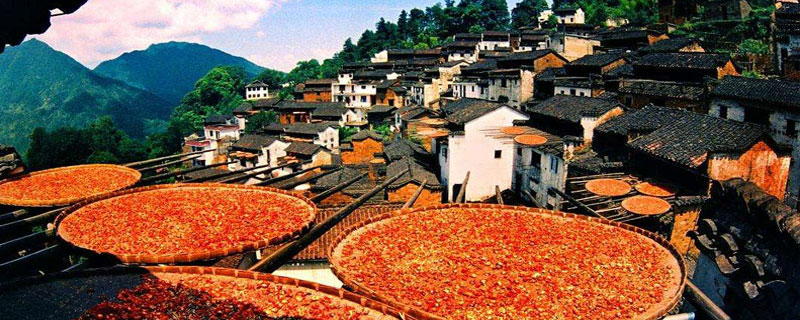 農村創業新點子