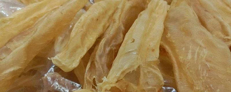 黃唇魚魚鰾是什么 黃唇魚魚鰾能救命嗎