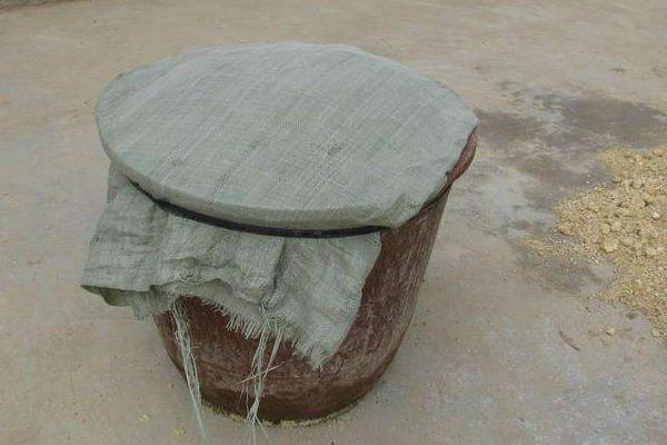 豆腐渣發酵技術