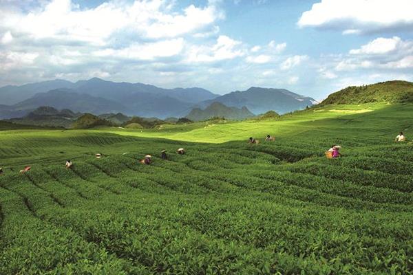 未來農村可發展的項目