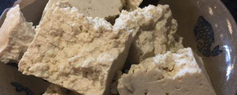 豆腐渣發酵技術