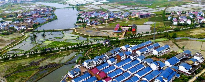 未來農村可發展的項目